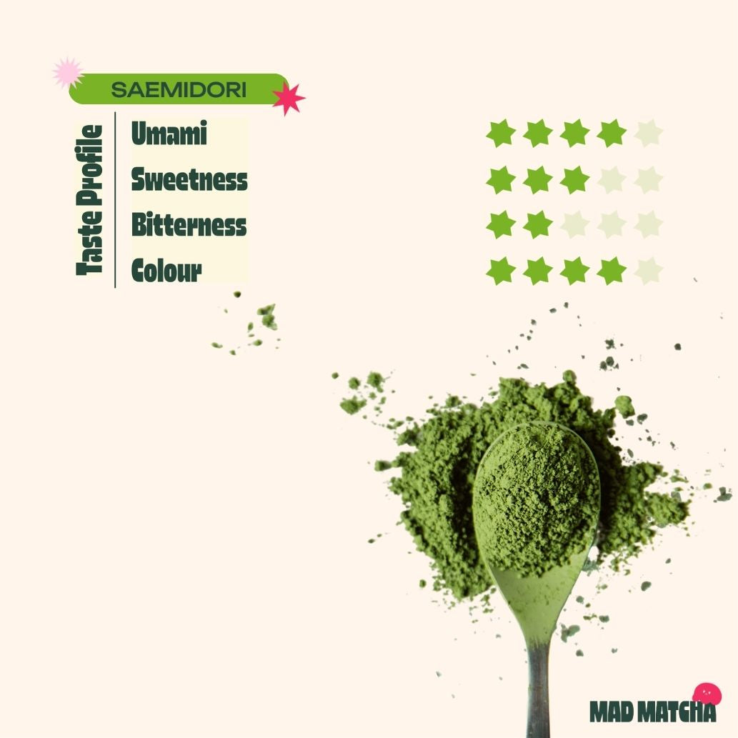 Saemidori Matcha [Ceremonial Grade]